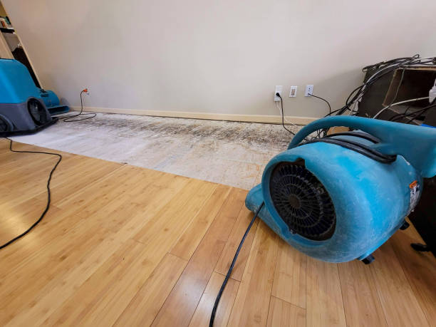 Professional Burst Pipe Water Damage technician working in East Butler, PA